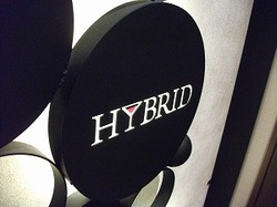 hybrid_d.jpg